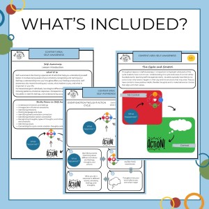 Self-Awareness Collection: Overview