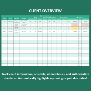 Client Overview Spreadsheet