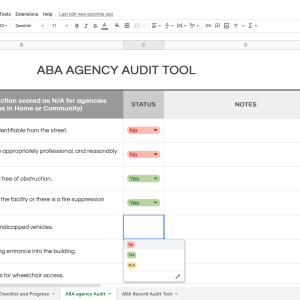 Optum ABA Agency Audit and Record Tracking sheet