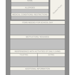 Behavior Intervention Plan At a Glance