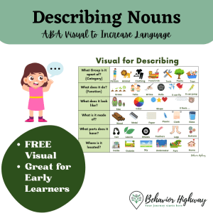 Visual For Describing Nouns
