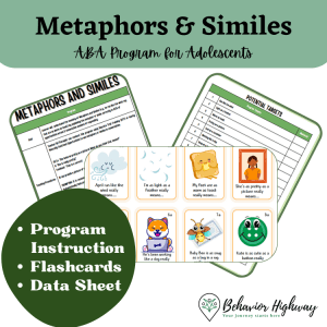 Metaphors and Similes