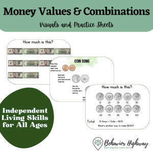 Money Values and Combinations Workbook