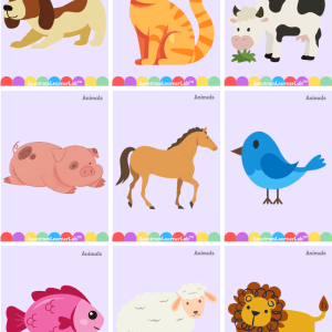 Common Item Tact Cards