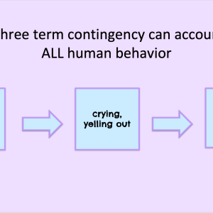 Behavior Training: Proactive Strategies for Paraprofessionals