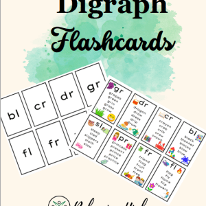 Phonics / Digraph Flashcards