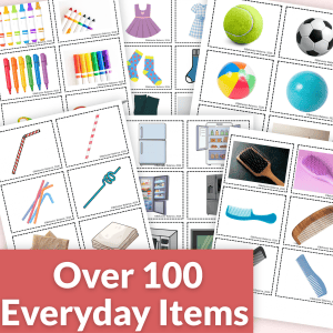 Receptive Expressive Everyday Labels Matching Autism Discrete Trials