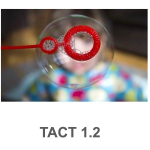 Electronic VB-MAPP Tacting/Labeling 1.2-2.7