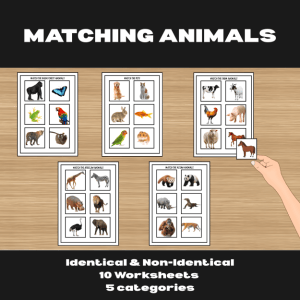 5 Category Animal Matching | Visual Discrimination