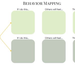 Behavior Mapping