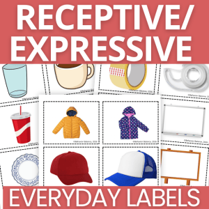 Receptive Expressive Everyday Labels Matching Autism Discrete Trials