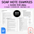 ABA SOAP Note 800 Examples & Guide – PDF