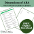 Dimensions of ABA Mini Mock Exam
